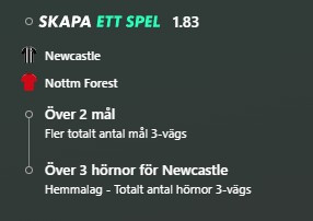 Newcastle vs Nottingham Forest, Bet Builder, över 2.5 mål, hörnspel, Premier League, fotboll odds